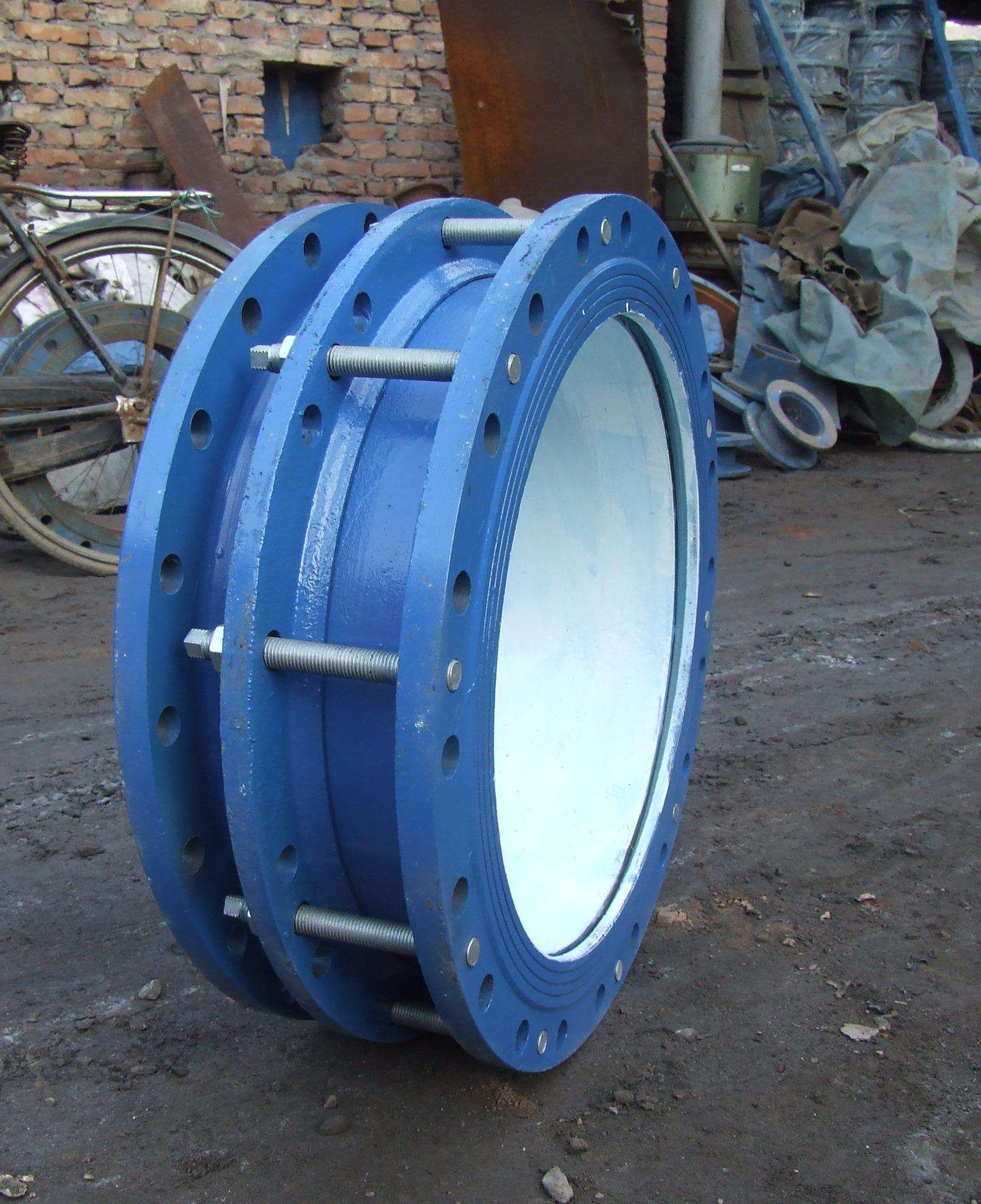 ֣��������