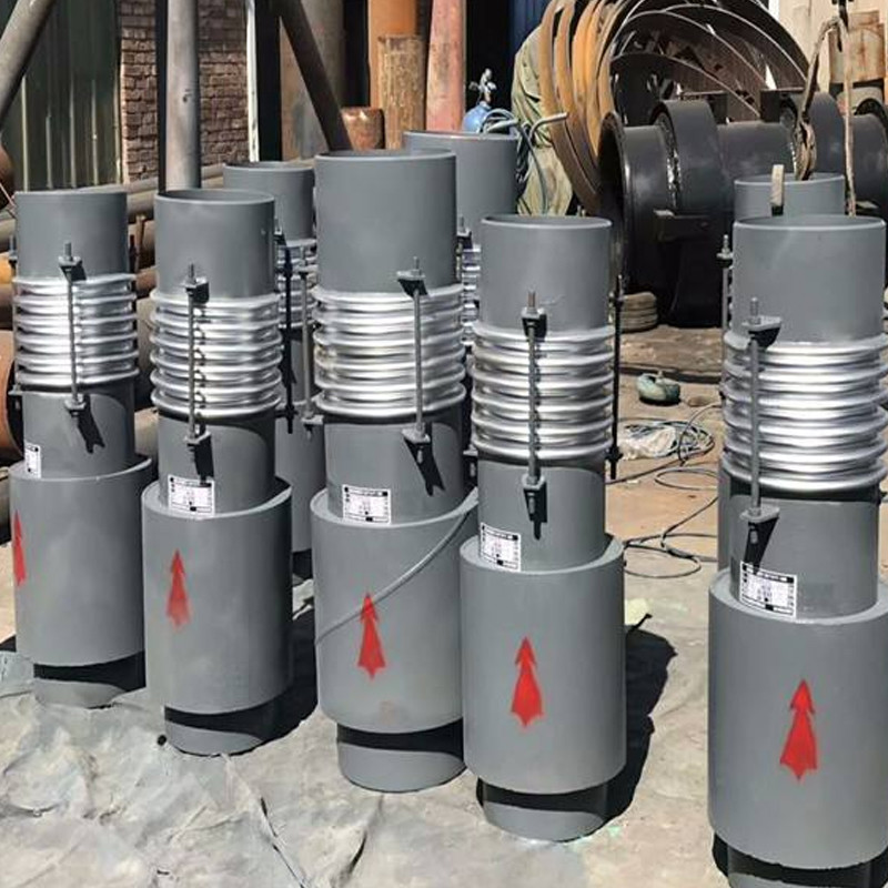 ������Ͳ����������