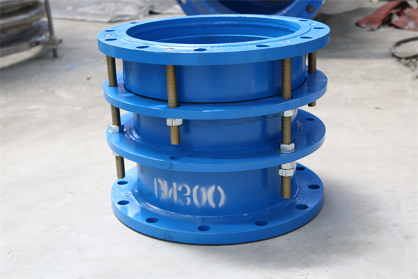 �������ͺ�BM300ʲô��˼